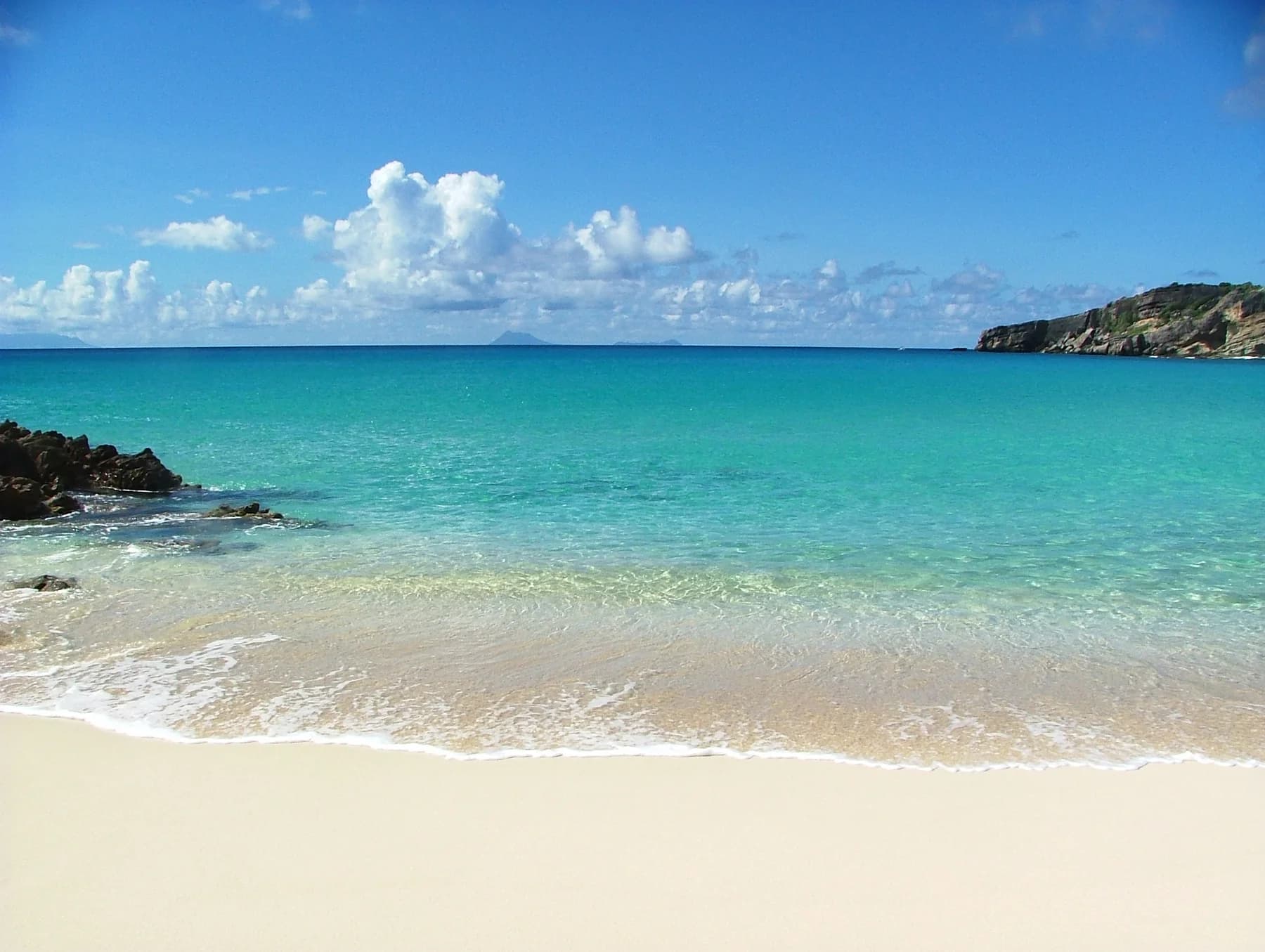 A Caribbean shoreline viewed from the water